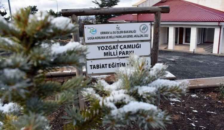 KIŞ GÜZELİ YOZGAT 1