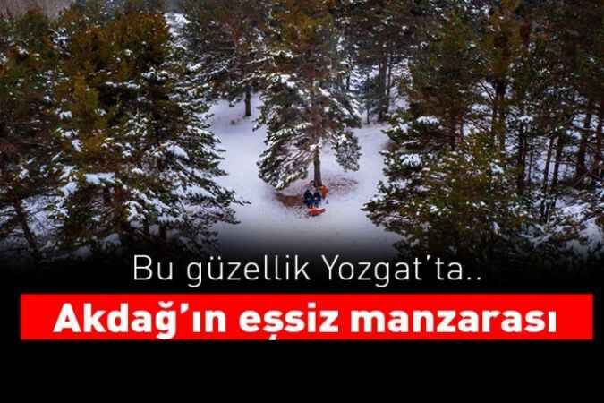 Akdağ'ın eşsiz ormanları.. 1