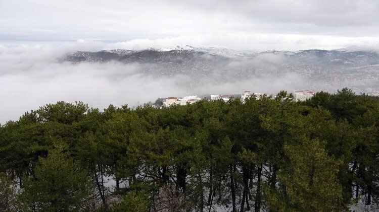 Yozgat’ta yoğun sis etkili oldu 2
