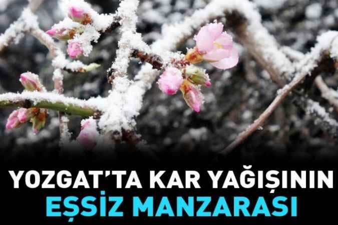 Eşsiz Manzaralar 1