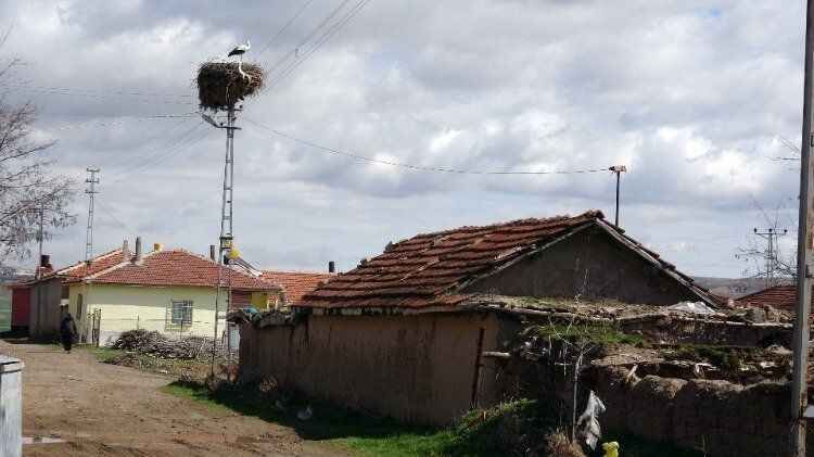 Yozgat'ın göçmeyen köyünün göçmen kuşları 3