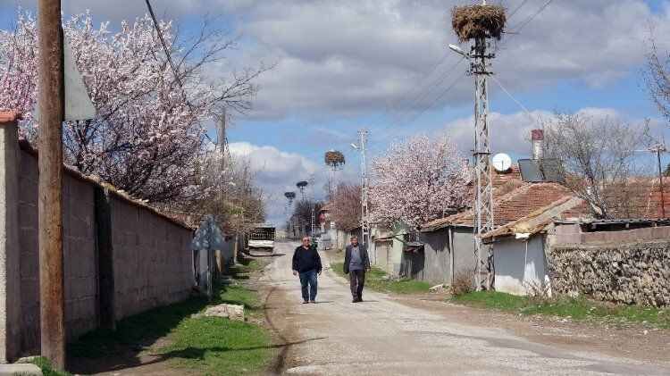 Yozgat'ın göçmeyen köyünün göçmen kuşları 9
