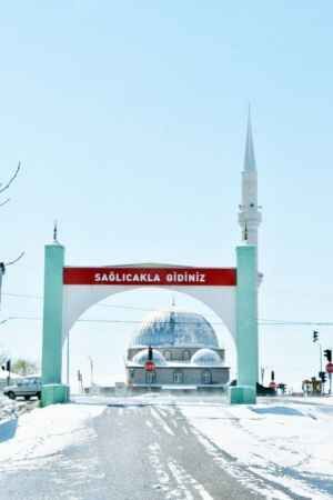 Yaz mevsiminin habercisi leylekler Yozgat’ta kış soğukları ve kara yakalandı. 2