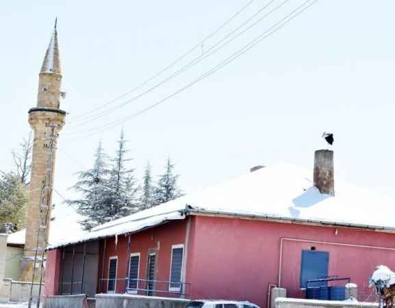 Yaz mevsiminin habercisi leylekler Yozgat’ta kış soğukları ve kara yakalandı. 5