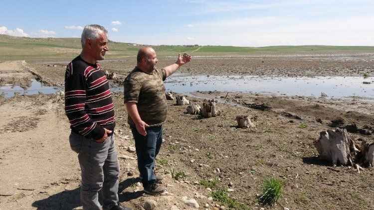 Yozgat’a misafir kuşların göç yolculuğu başladı 2