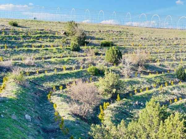 YOZGAT'TA HAFTA SONUNUN YENİ ADRESİ ''ÇEKEREK'' 10