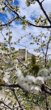 Yozgat'ta bahar güzelliği. Akdağmadeni Muşalikalesi Köyü'nden bahar güzellemeleri 11