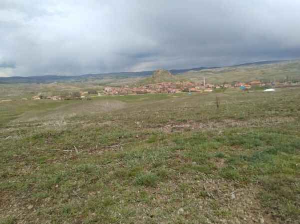 Yozgat'ta bahar güzelliği. Akdağmadeni Muşalikalesi Köyü'nden bahar güzellemeleri 8