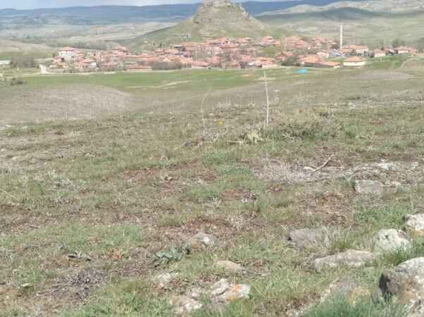 Yozgat'ta bahar güzelliği. Akdağmadeni Muşalikalesi Köyü'nden bahar güzellemeleri 9