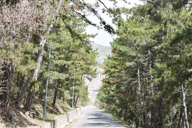 Yozgat Çamlık'ta Baharın İzleri Kendini Gösterdi 7