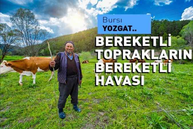 Yozgat'ın bereketli toprakları 1