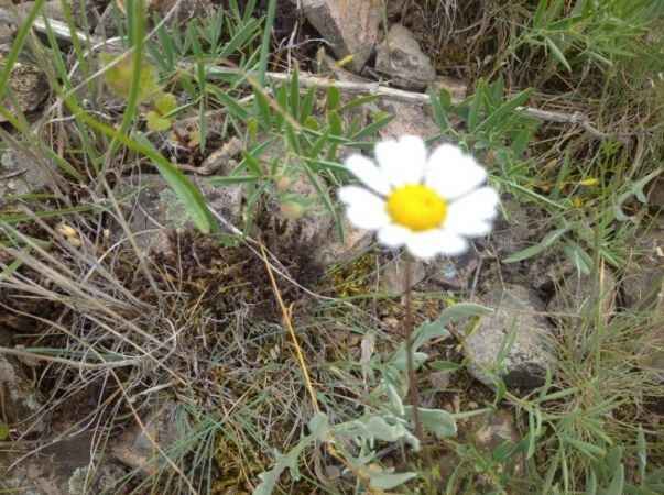 Yozgat'ta İlkbahar Esintileri 3