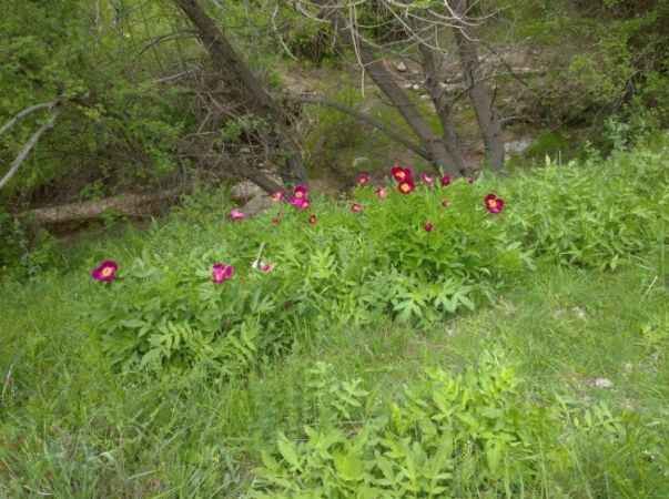 Yozgat'ta İlkbahar Esintileri 9