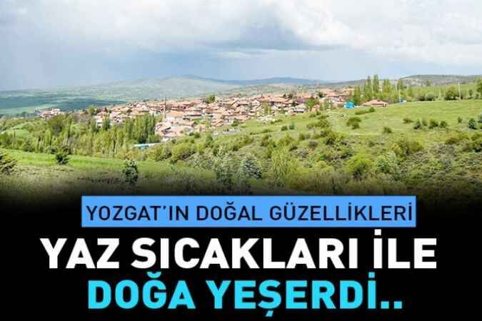 Yozgat'ın Çayıralan İlçesi'nde doğa canlandı 1