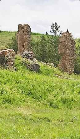 Yozgat'ın Çayıralan İlçesi'nde doğa canlandı 2