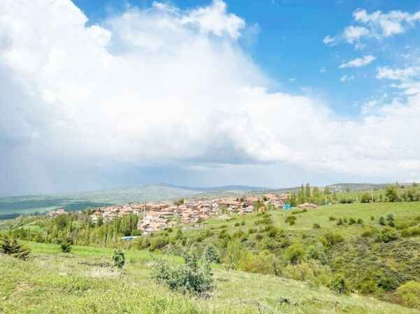 Yozgat'ın Çayıralan İlçesi'nde doğa canlandı 4