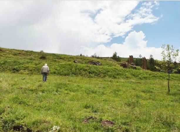 Yozgat'ın Çayıralan İlçesi'nde doğa canlandı 5