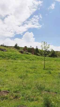 Yozgat'ın Çayıralan İlçesi'nde doğa canlandı 6