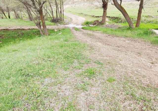 Yozgat'ın Çayıralan İlçesi'nde doğa canlandı 7