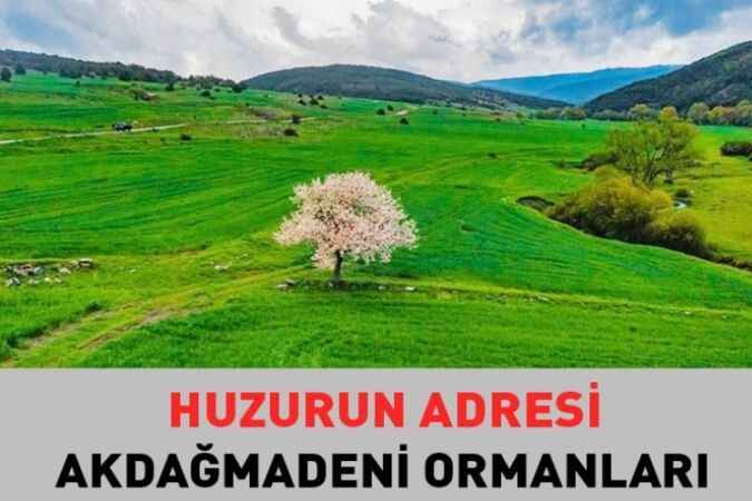 Huzurun Adresi Akdağmadeni Ormanlarının Muhteşem Görüntüleri 1