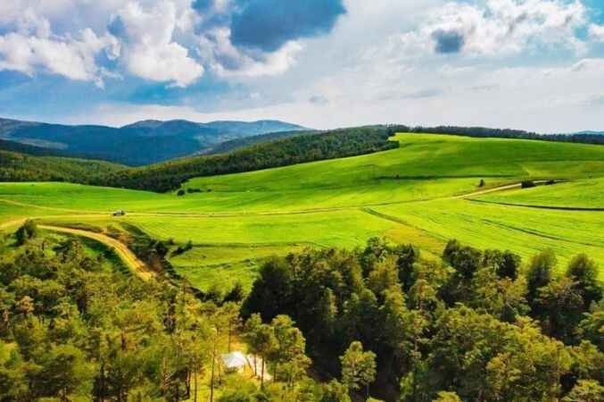 Huzurun Adresi Akdağmadeni Ormanlarının Muhteşem Görüntüleri 2