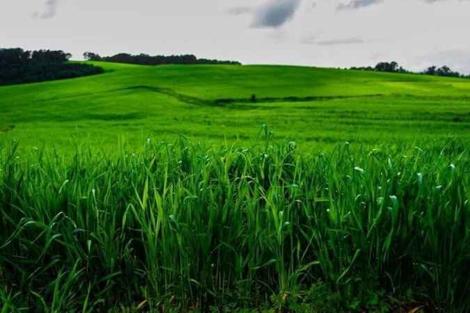 Huzurun Adresi Akdağmadeni Ormanlarının Muhteşem Görüntüleri 5