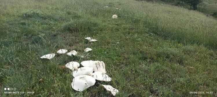 Yozgat'ın Akdağmadeni İlçesi'nde bahar görüntüleri 2