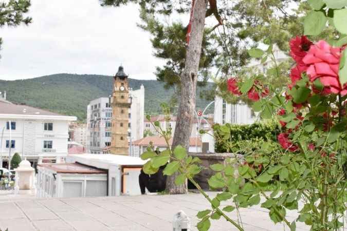 Yozgat Belediyesi şehrin dört bir yanını güllerle bezedi 4