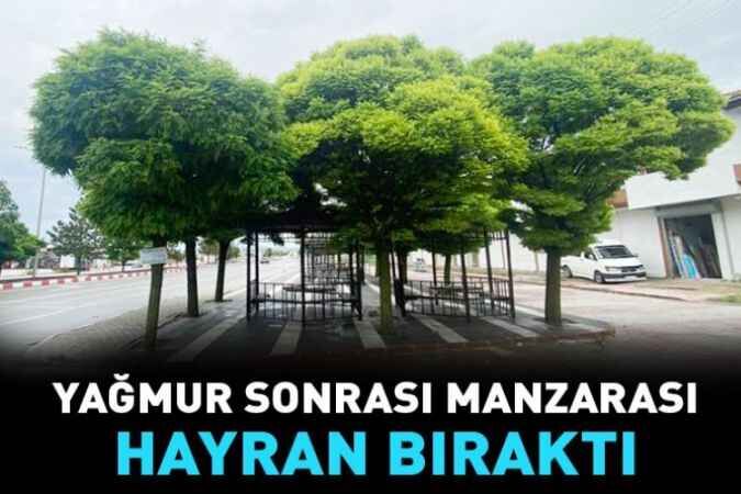 Yağmur sonrası manzarası hayran bıraktı 1