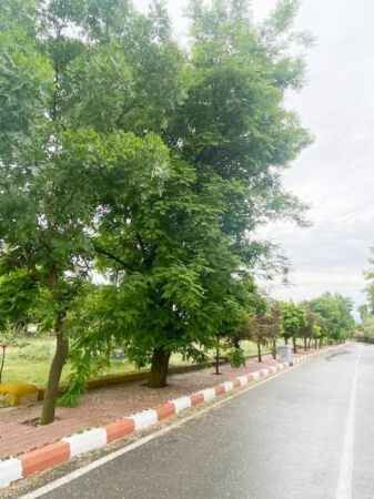Yağmur sonrası manzarası hayran bıraktı 3
