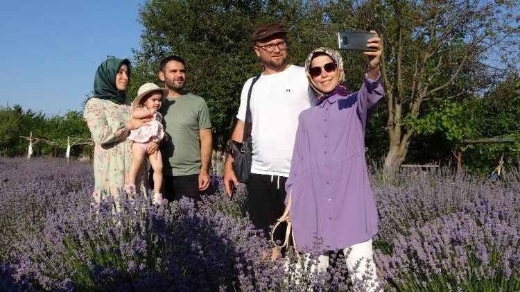 Bozkırın ortasındaki mor şölen görenleri büyülüyor.. 5