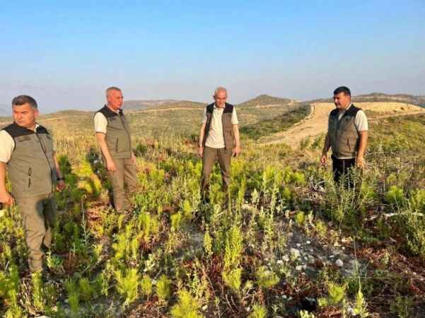 Orman Genel Müdürü Bekir Karacabey, “Ekiplerimiz olarak daima hazırız ve güçlüyüz. 5