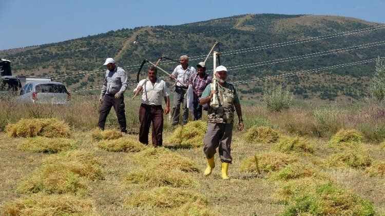Türkiye'nin en lezzetlisi Yozgat'ta yetişiyor.. 9