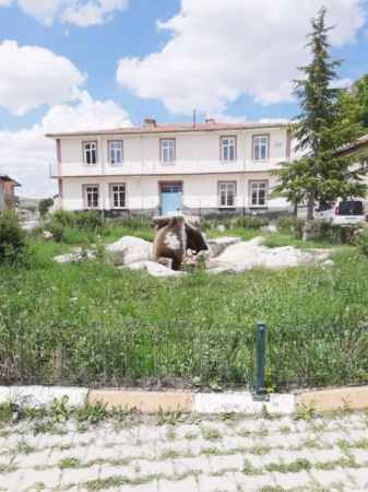 Yaz Aylarında Ayrı Bir Güzel 5