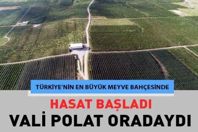 Türkiye’nin en büyük meyve bahçesinde kiraz hasadı başladı. 1