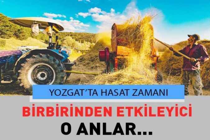 Yozgat'ta Hasat Zamanı 1