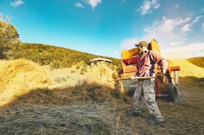 Yozgat'ta Hasat Zamanı 11