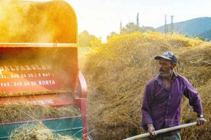 Yozgat'ta Hasat Zamanı 6