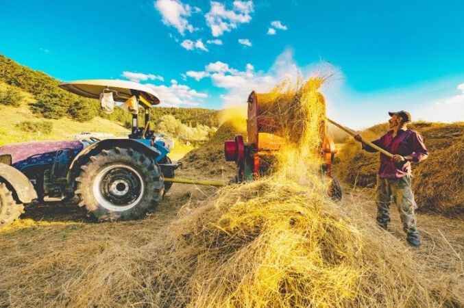 Yozgat'ta Hasat Zamanı 9