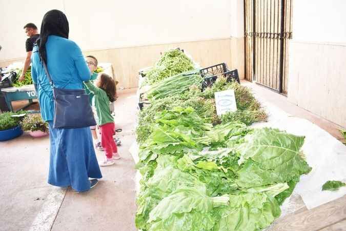 Yozgat'ta taze ürünlere ilgi büyük 6