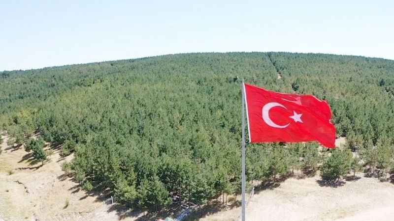 Bir kasabadan daha fazlası: Belekcehan 5
