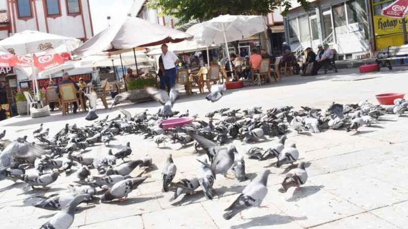 Yozgat'ın simgelerinden un pazarının daimi misafirleri 4