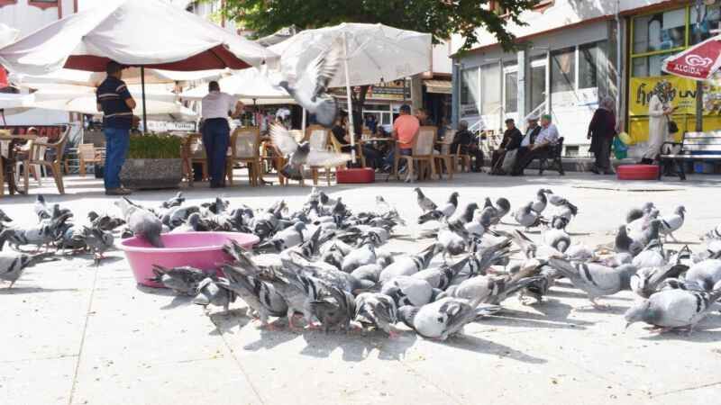 Yozgat'ın simgelerinden un pazarının daimi misafirleri 6