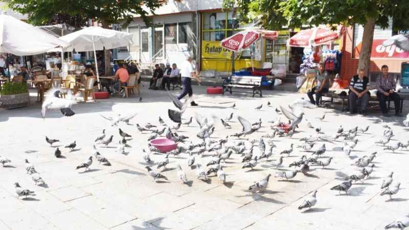 Yozgat'ın simgelerinden un pazarının daimi misafirleri 8