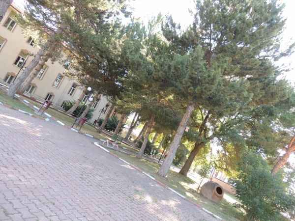 Yozgat'ın bağları, bahçeleri, bereketli toprakları ve misafirperver insanları ile Çayıralan'a hiç gittiniz mi? 18
