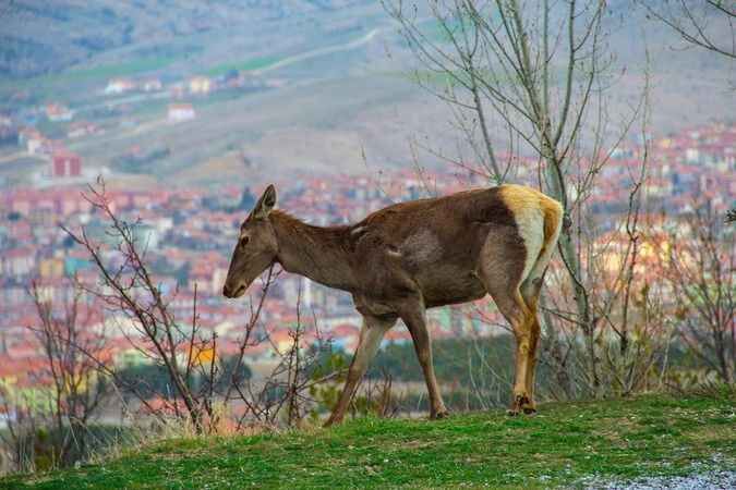 Yozgat’ın saklı hazinesi. Bağrında bir dünya barındırıyor! 5