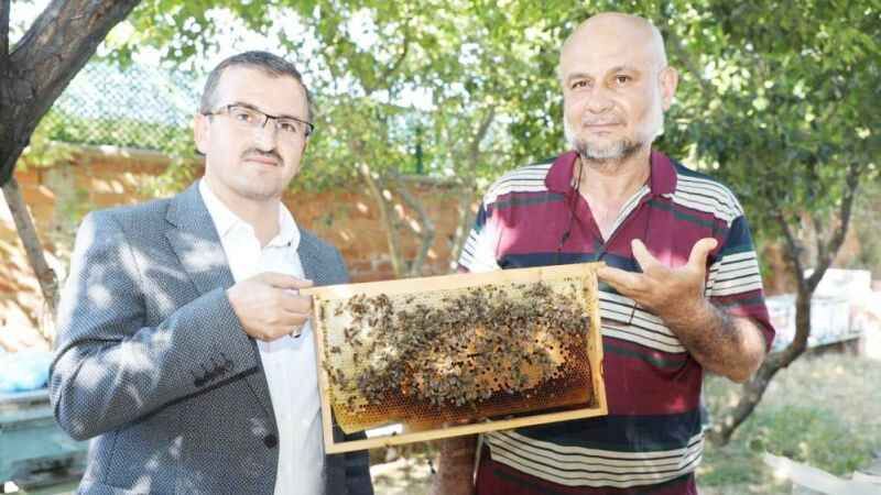 'Sokmayan arılar' Yozgat'ta lavanta balı üretimine başladı 6
