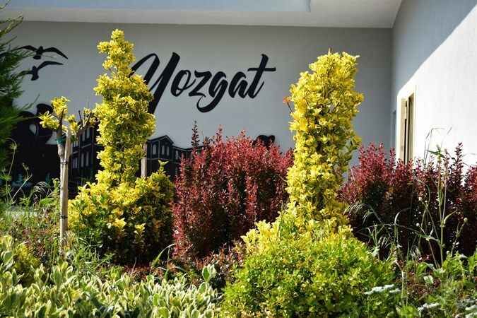 Yozgat fotoğrafları: Bozok Yaylasını tanıyalım 2