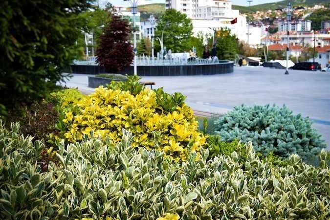 Yozgat fotoğrafları: Bozok Yaylasını tanıyalım 19