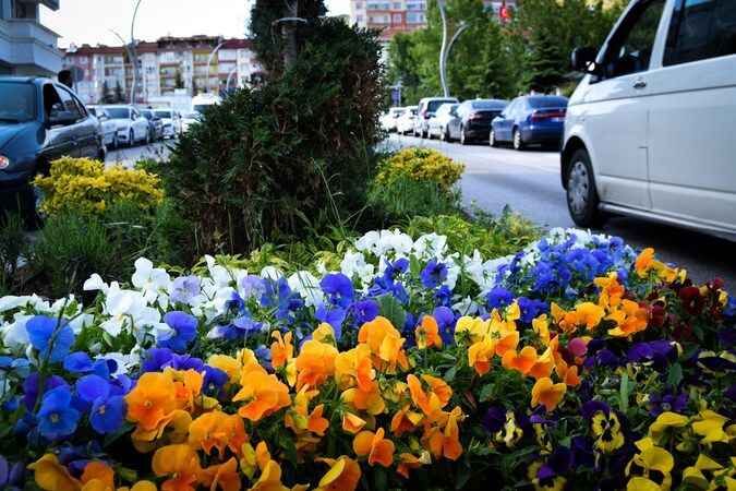 Yozgat fotoğrafları: Bozok Yaylasını tanıyalım 9